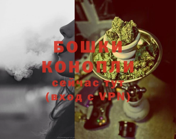 дживик Баксан